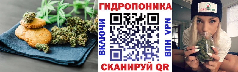 Canna-Cookies марихуана  omg tor  Гусиноозёрск 