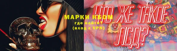 прущие грибы Бронницы