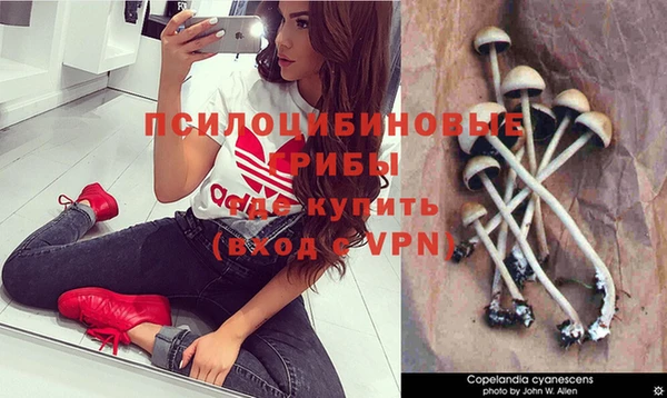 дурь Бородино