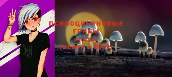 прущие грибы Бронницы