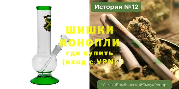 дурь Бородино