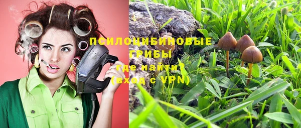дурь Бородино