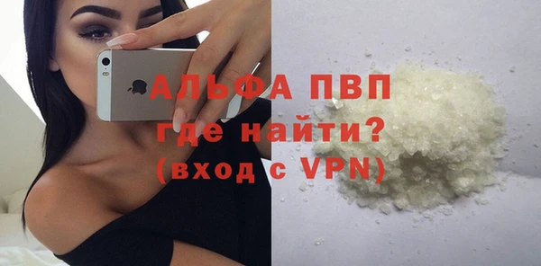 прущие грибы Бронницы