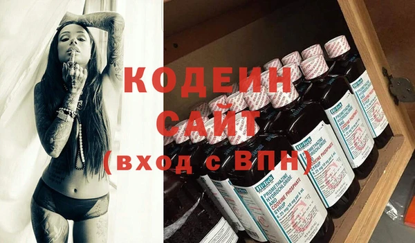 дурь Бородино