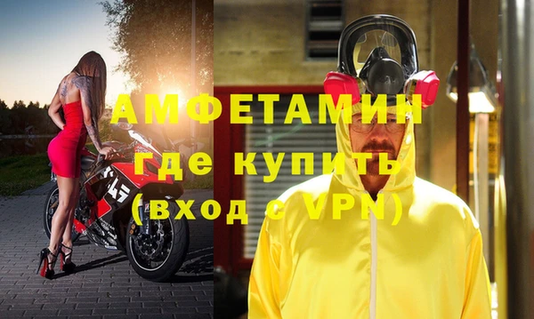 прущие грибы Бронницы