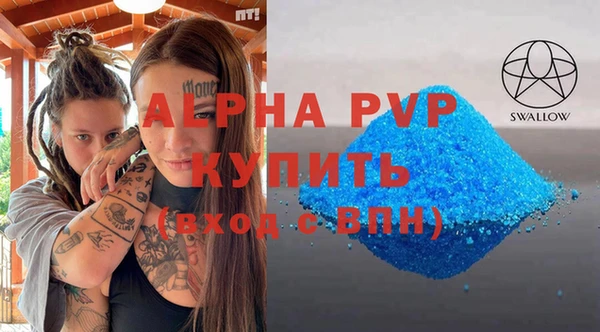 прущие грибы Бронницы