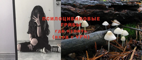 прущие грибы Бронницы