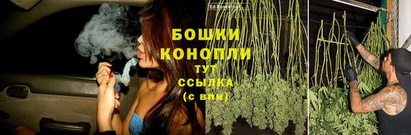 дурь Бородино