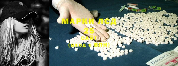 дурь Бородино