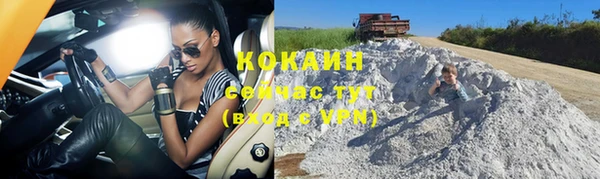 прущие грибы Бронницы