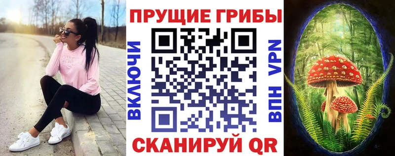 мориарти какой сайт купить сайты ссылка на мегу ссылки Гусиноозёрск Галлюциногенные грибы MAGIC MUSHROOMS